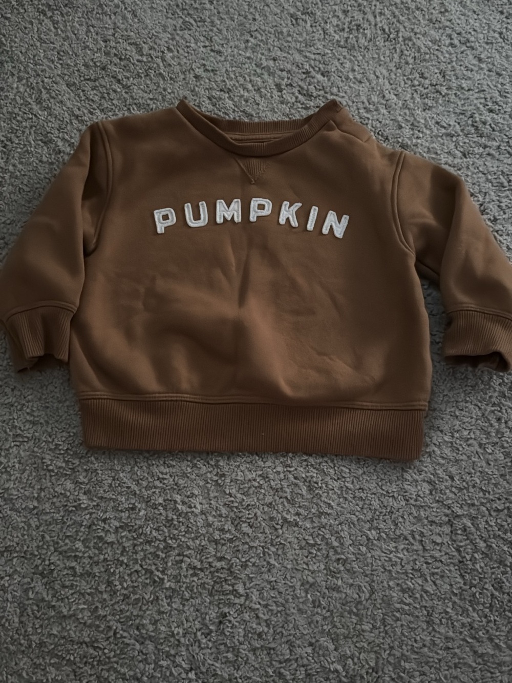 Kids Pumpkin Graphic Sweatshirt - Brown